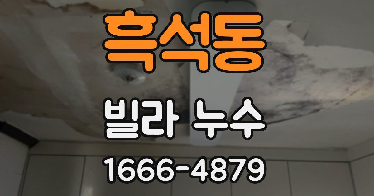 흑석동 빌라 누수