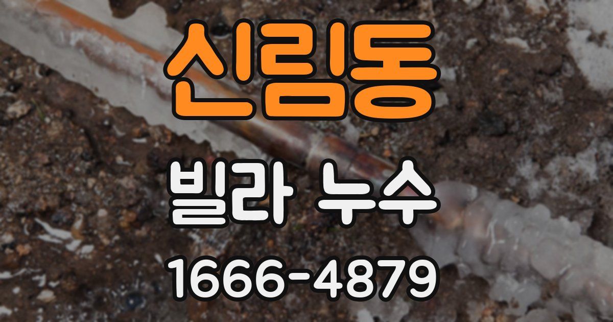 신림동 빌라 누수
