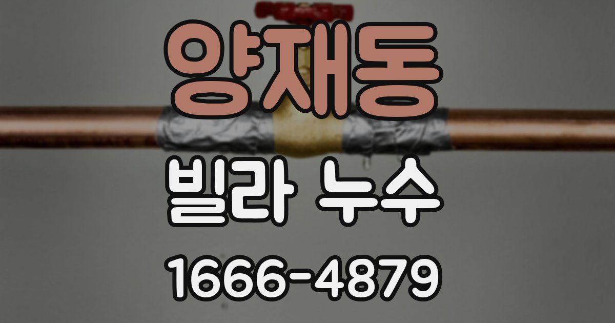 양재동 빌라 누수
