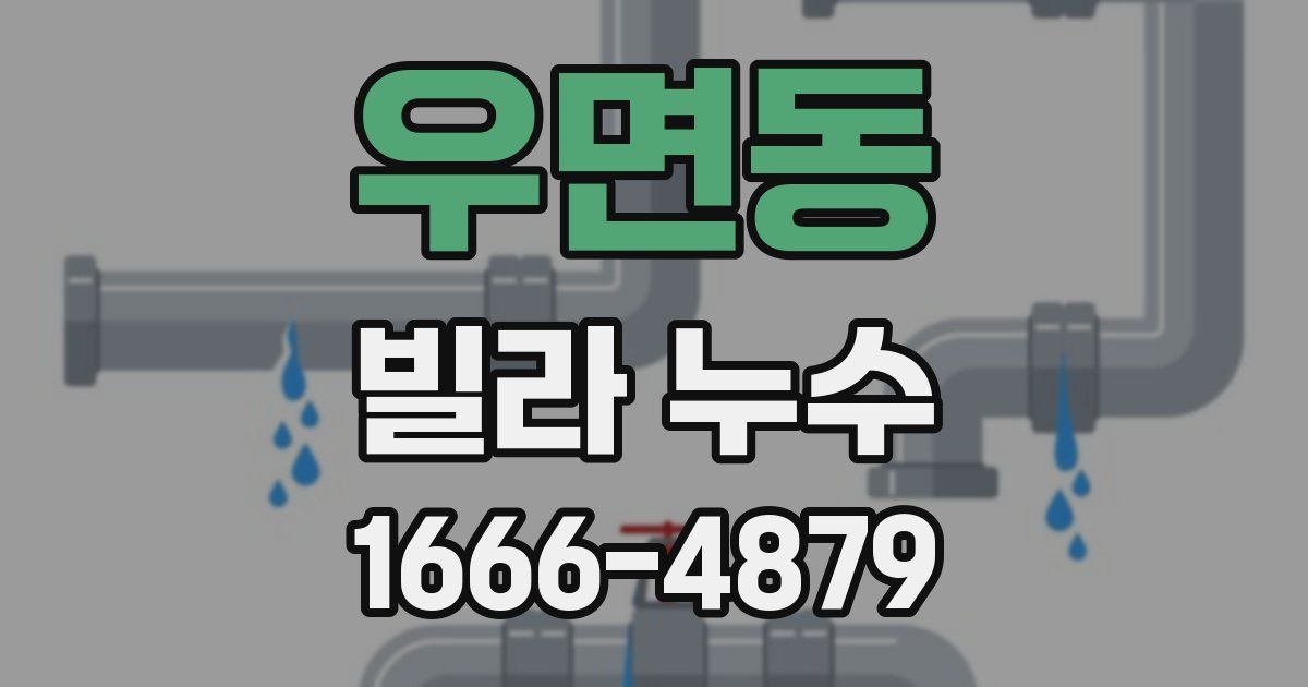 우면동 빌라 누수