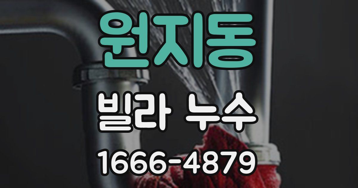 원지동 빌라 누수