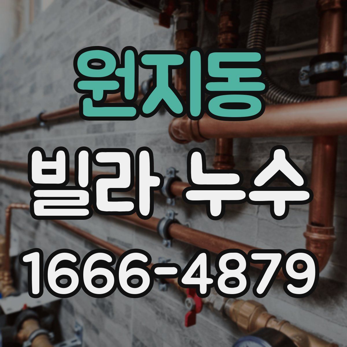 원지동 빌라 누수