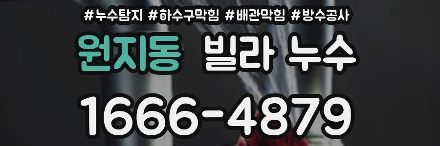 원지동 빌라 누수