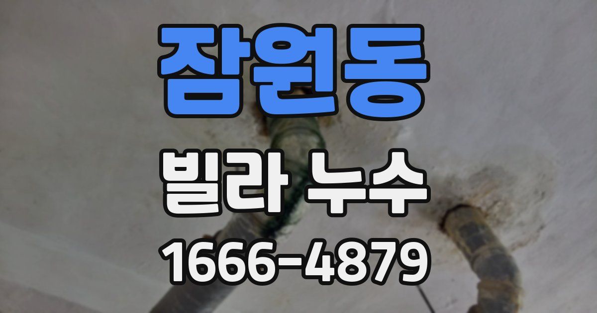 잠원동 빌라 누수