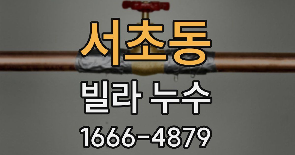 서초동 빌라 누수