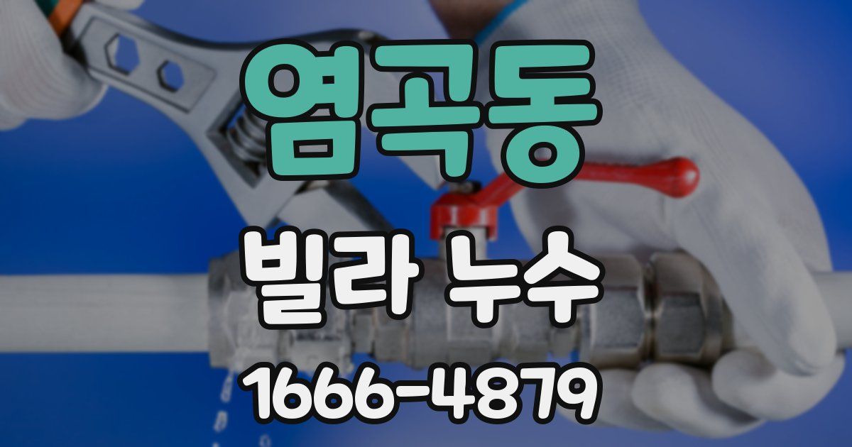 염곡동 빌라 누수