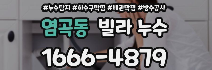 염곡동 빌라 누수
