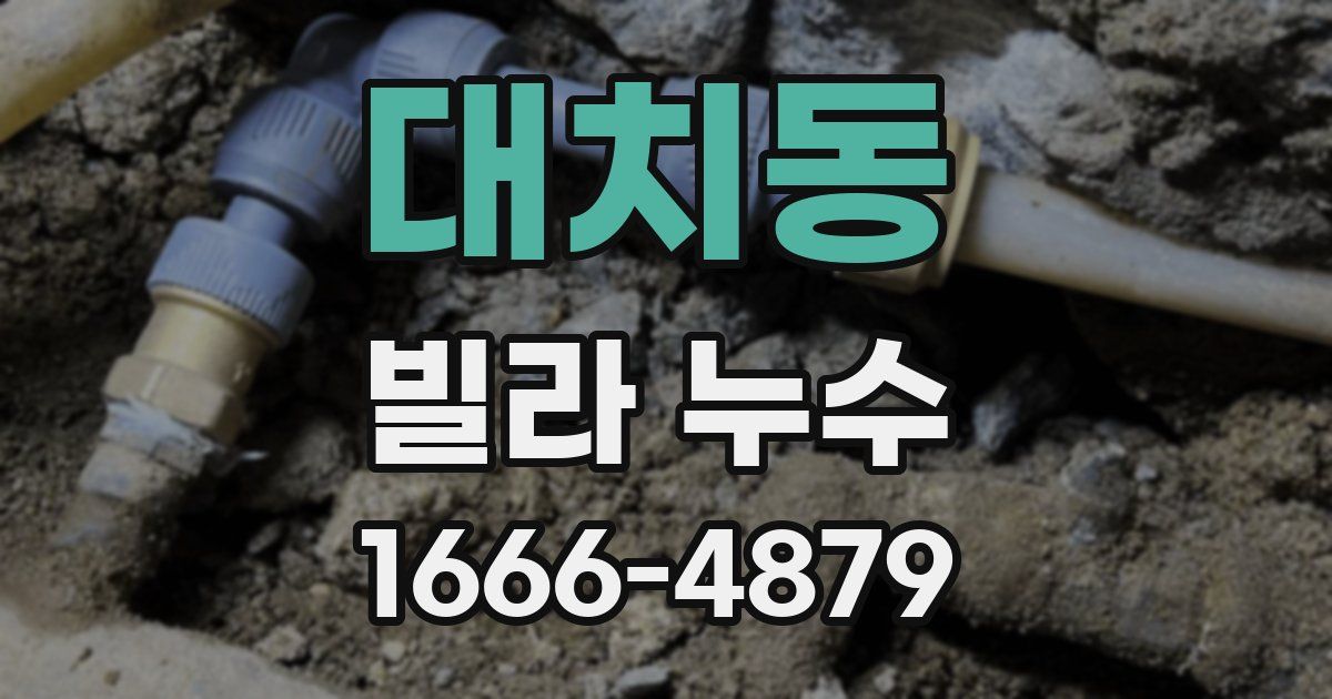 대치동 빌라 누수
