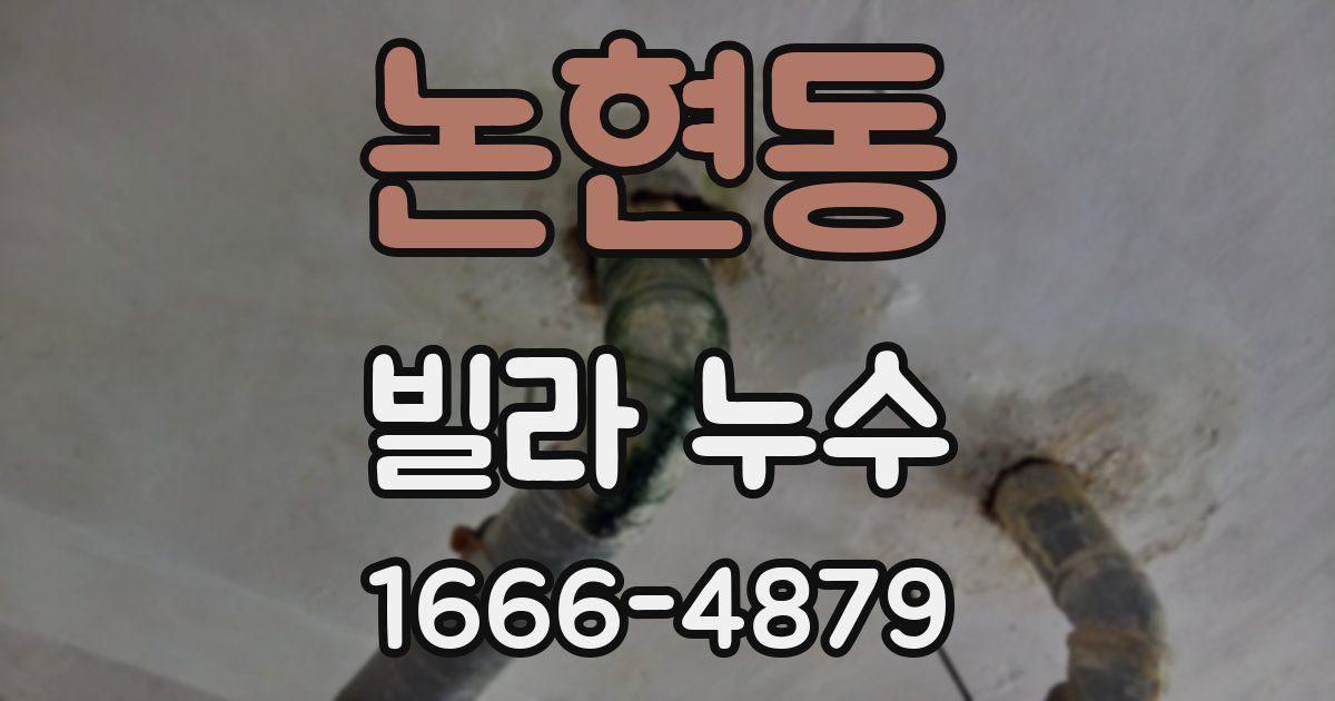 논현동 빌라 누수