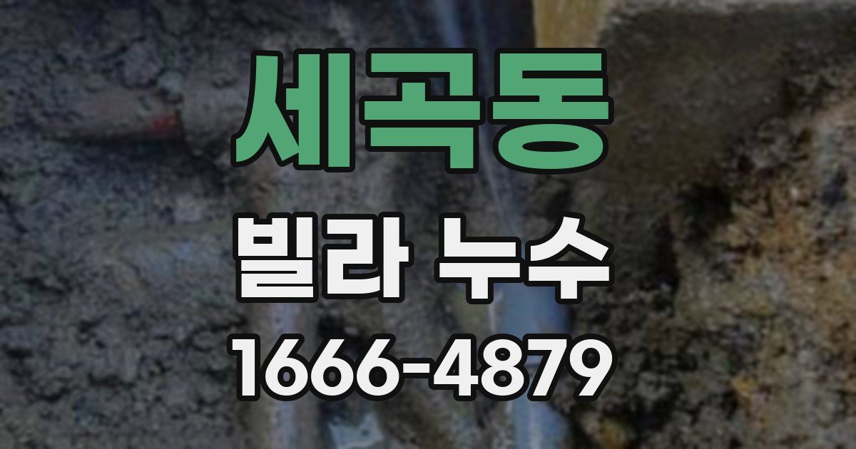 세곡동 빌라 누수