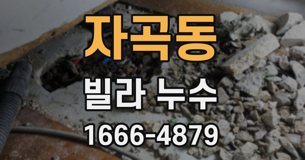 자곡동 빌라 누수