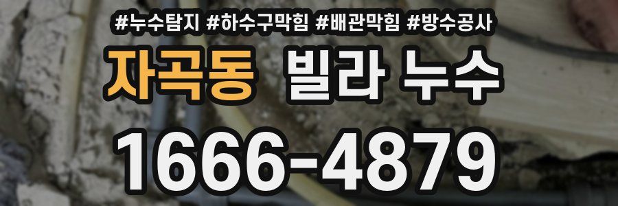 자곡동 빌라 누수