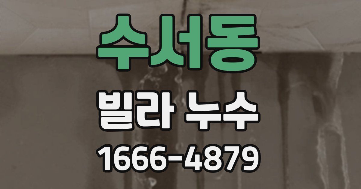 수서동 빌라 누수