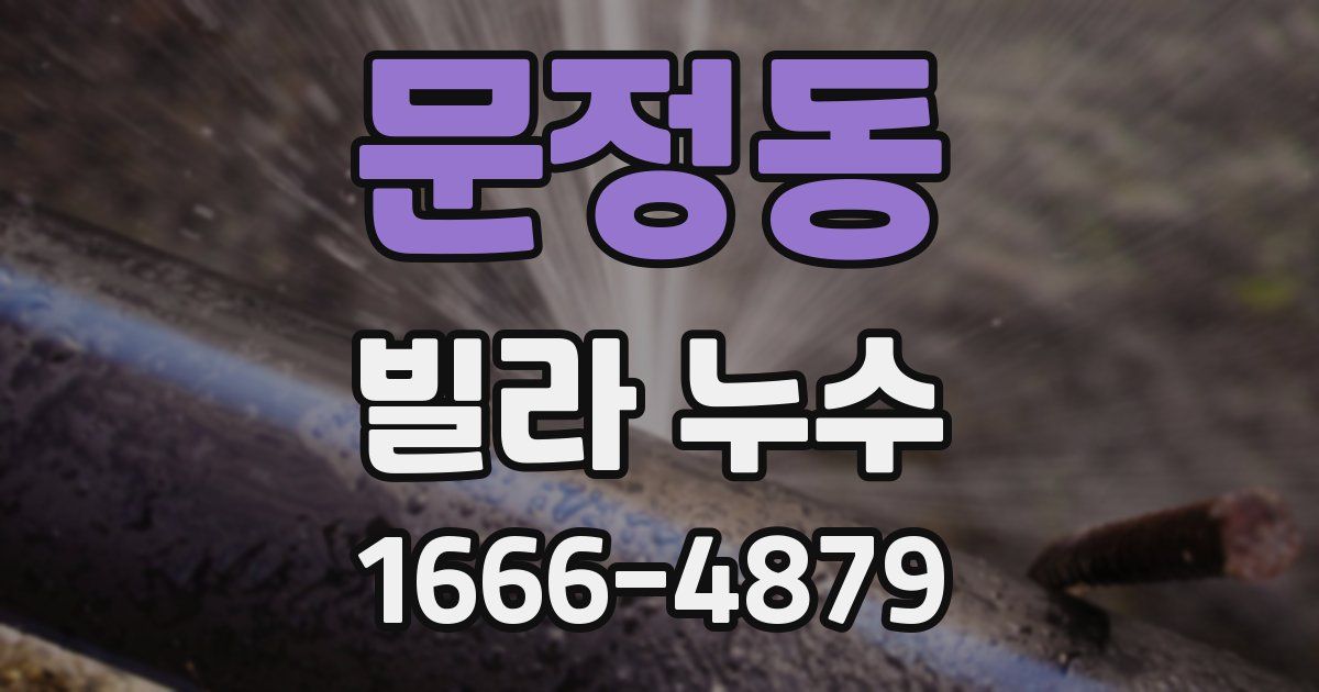 문정동 빌라 누수