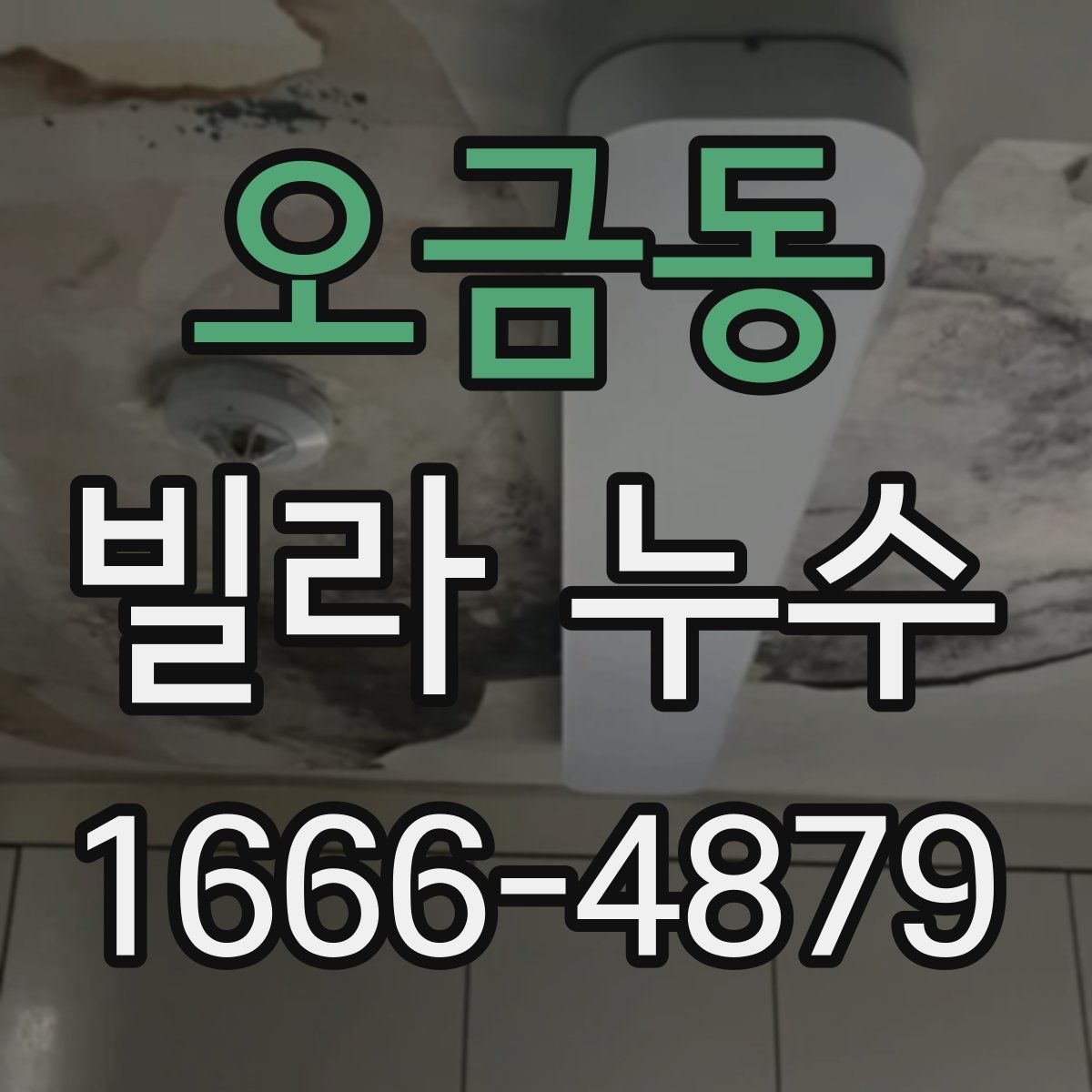오금동 빌라 누수