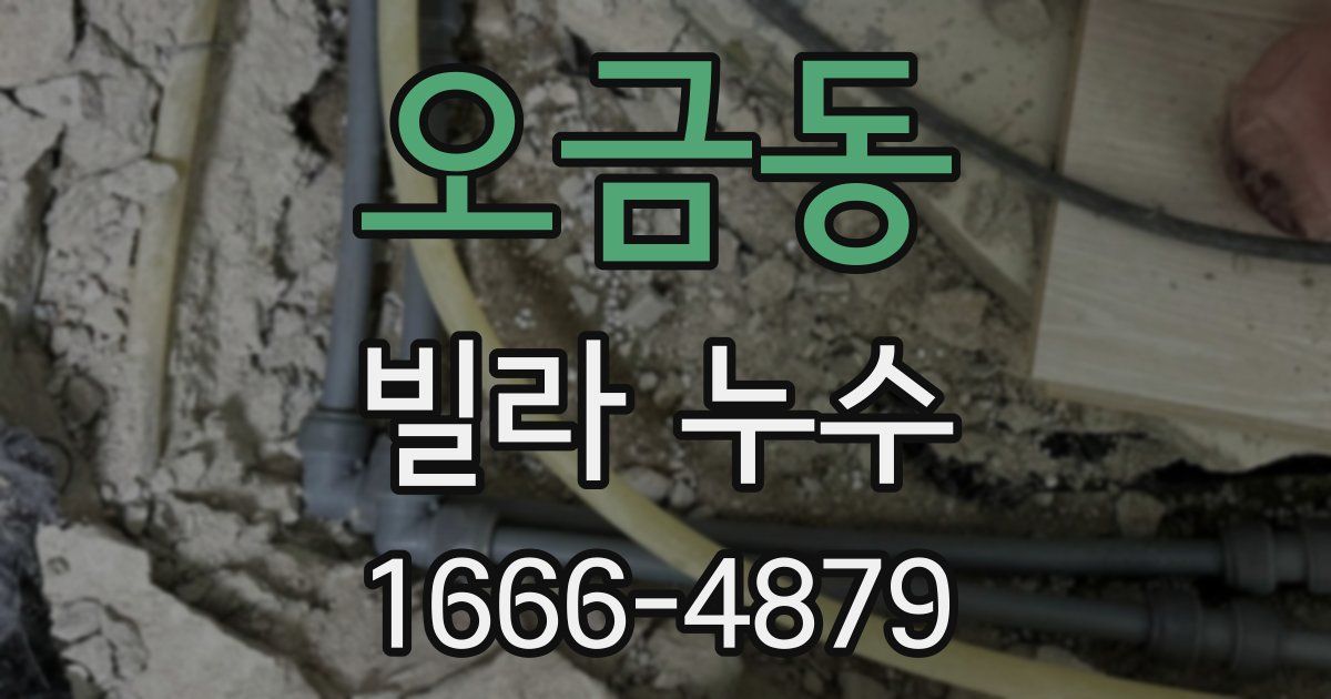 오금동 빌라 누수