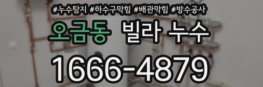 오금동 빌라 누수
