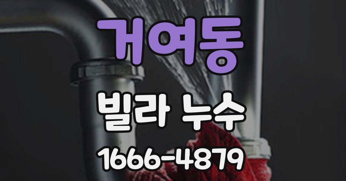 거여동 빌라 누수
