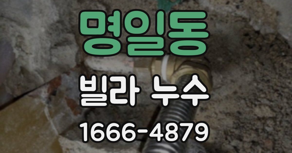 명일동 빌라 누수