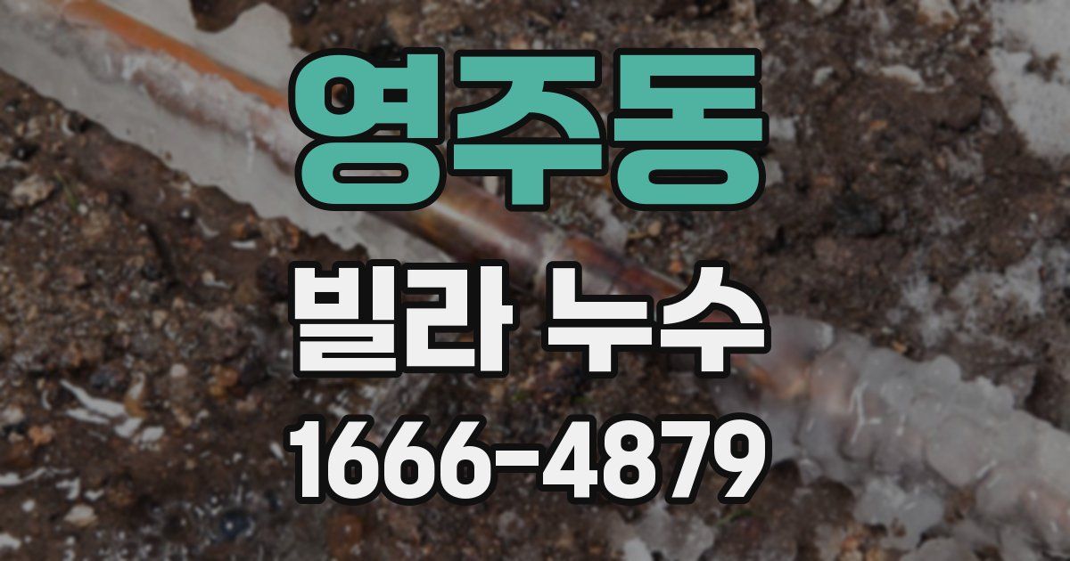 영주동 빌라 누수