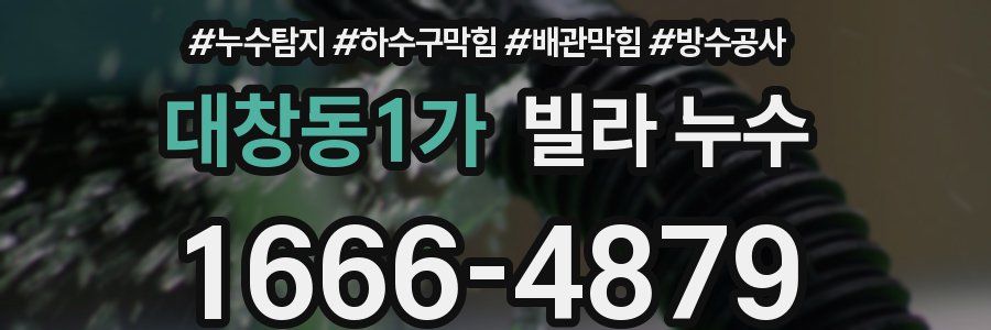 대창동1가 빌라 누수