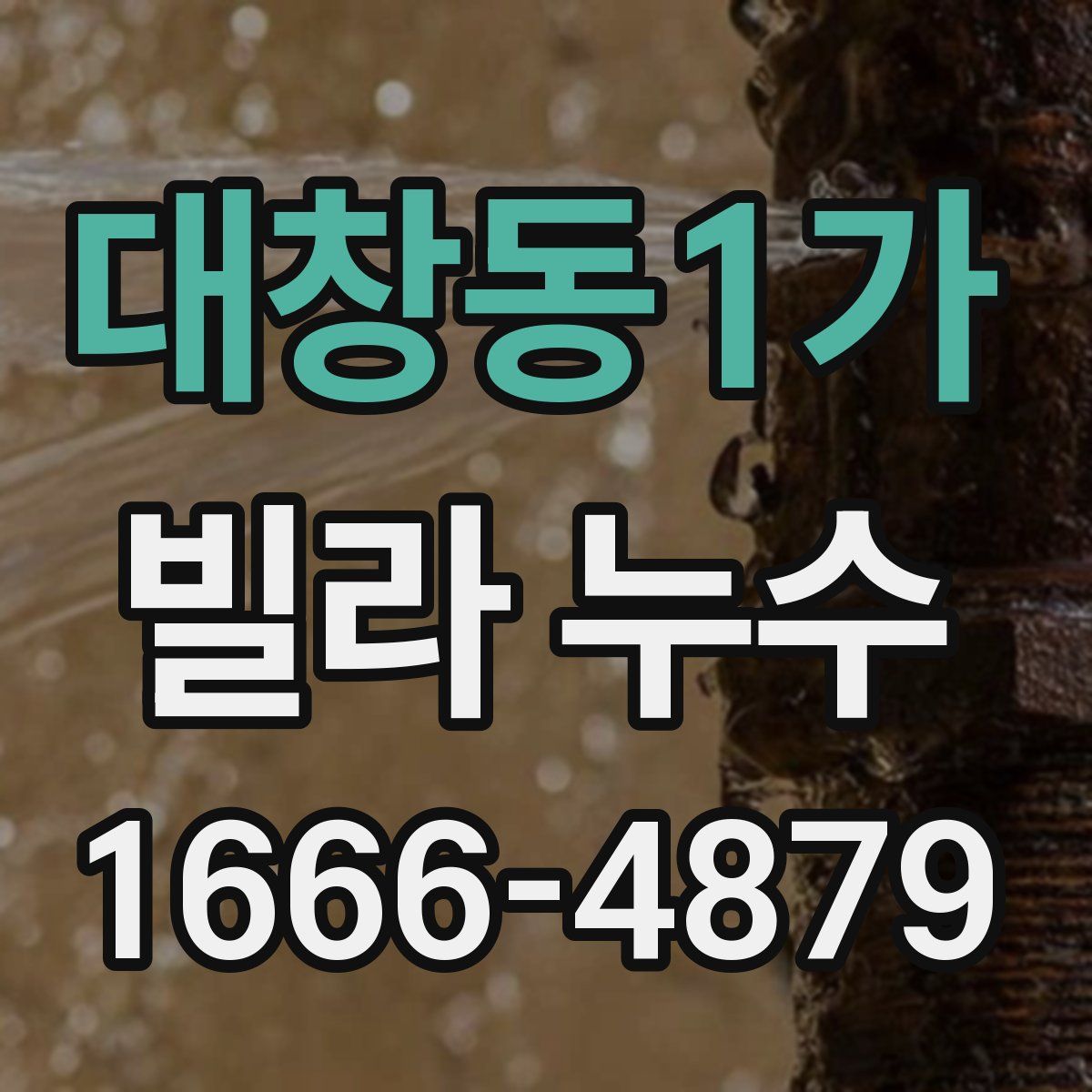 대창동1가 빌라 누수