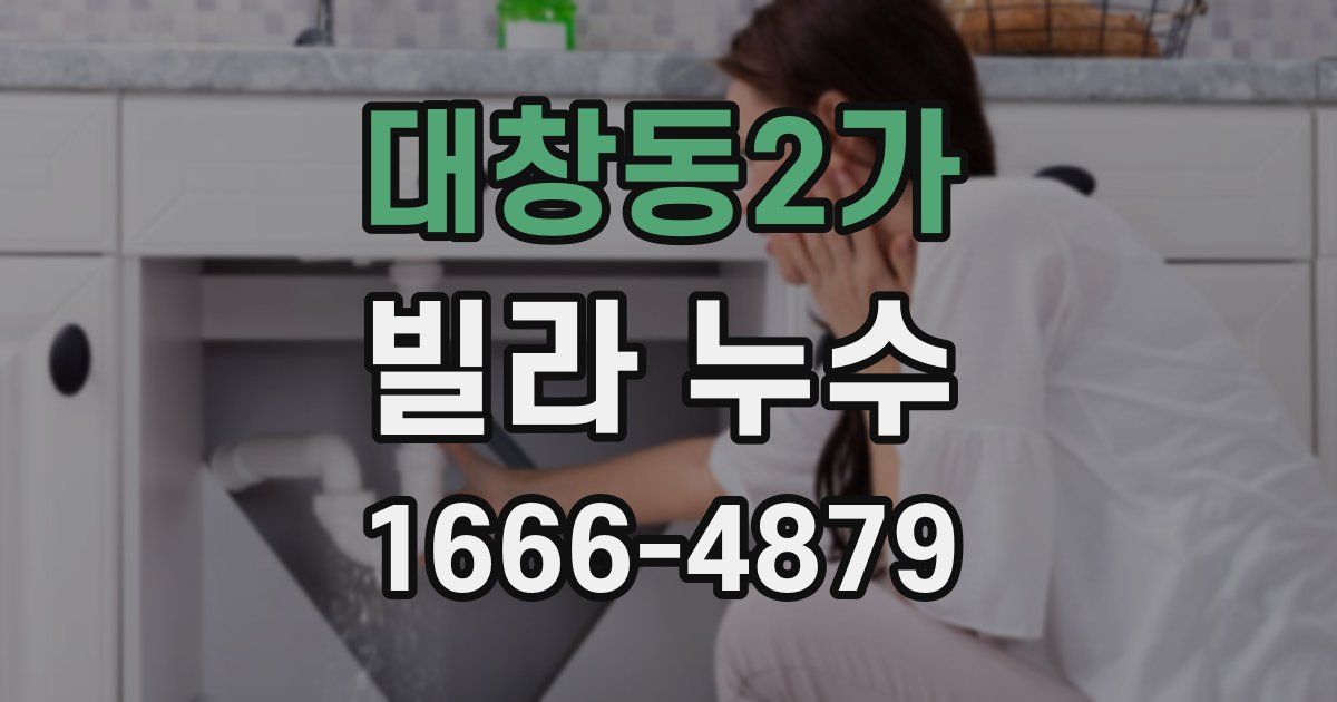 대창동2가 빌라 누수