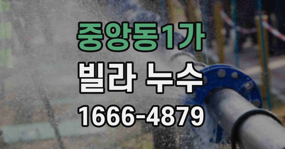 중앙동1가 빌라 누수