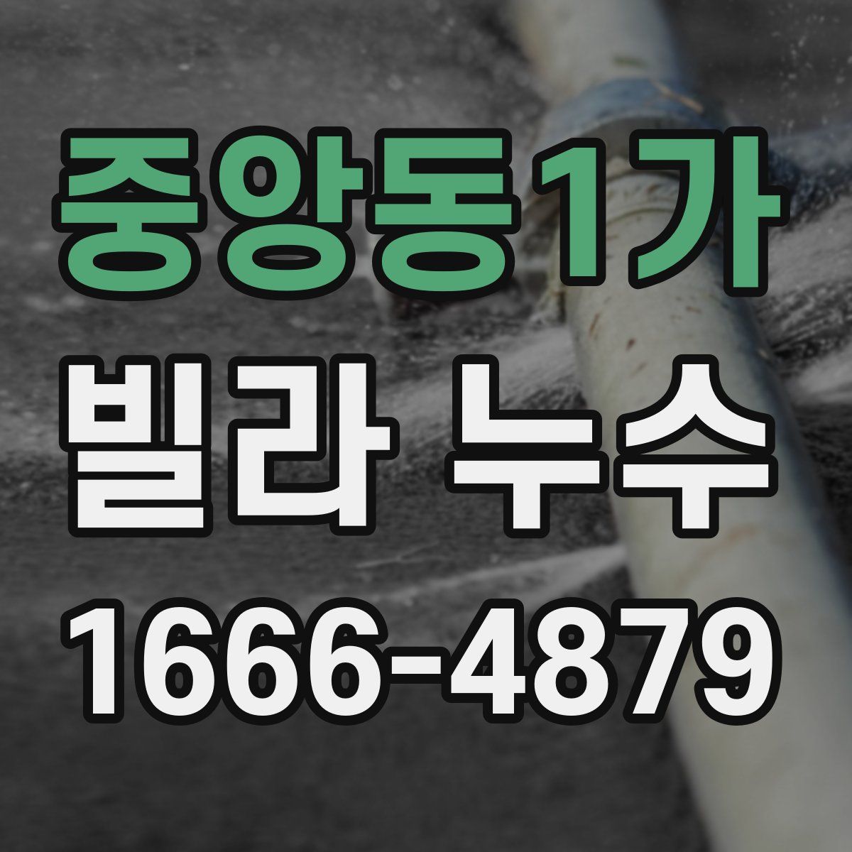 중앙동1가 빌라 누수