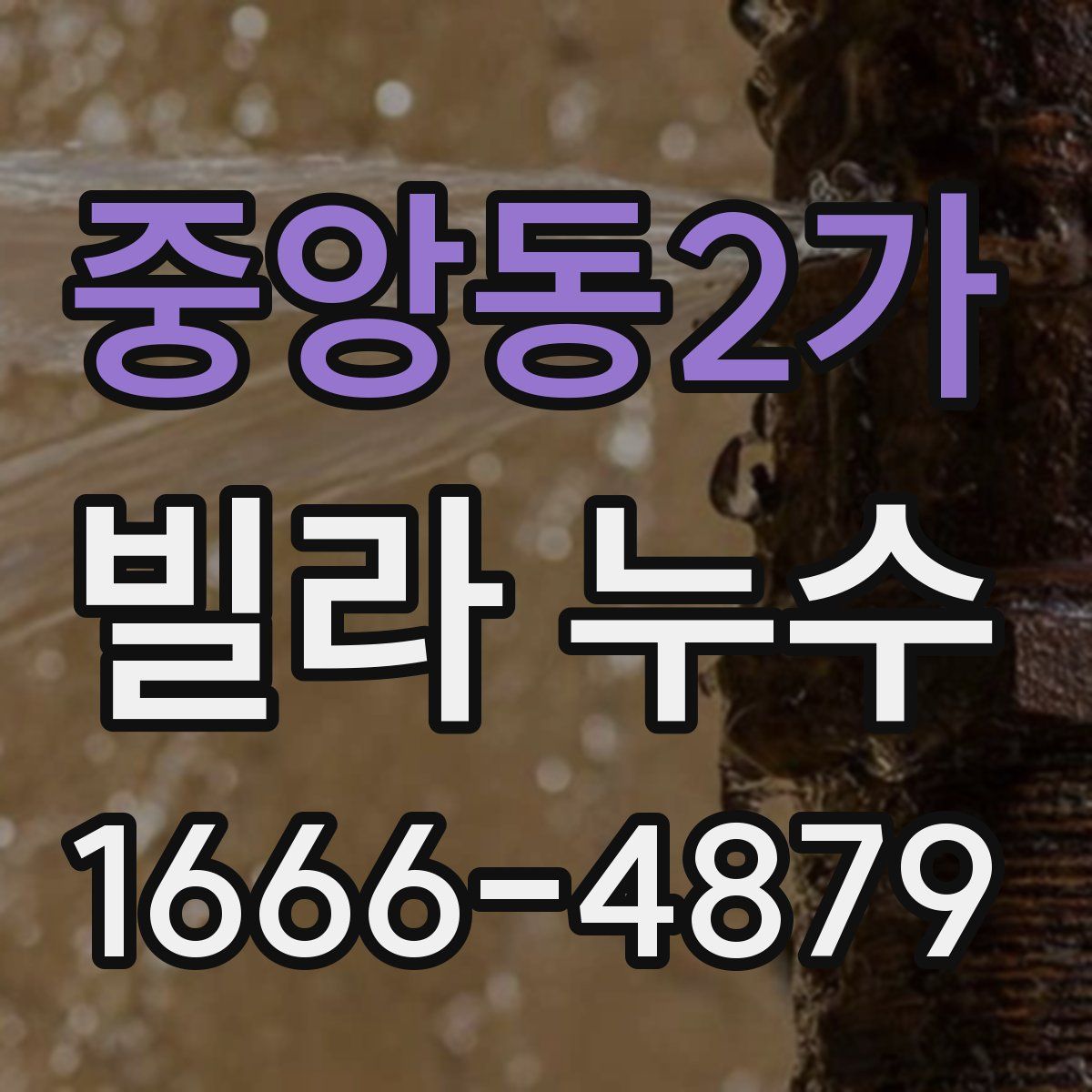 중앙동2가 빌라 누수
