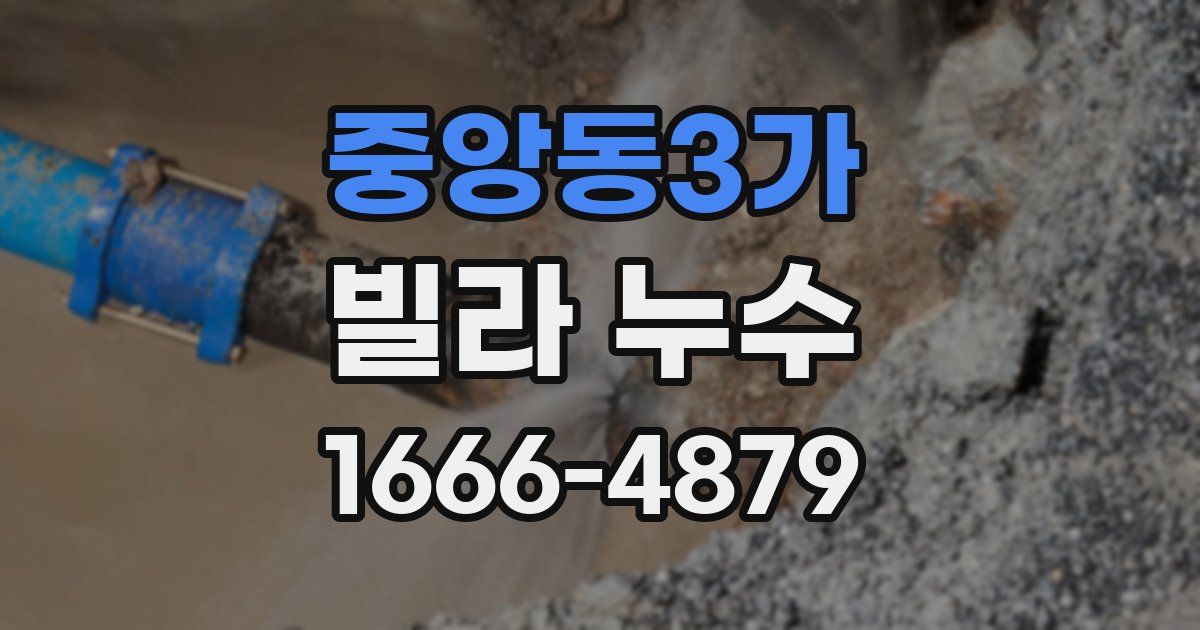 중앙동3가 빌라 누수