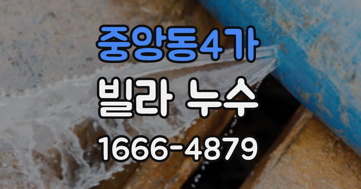 중앙동4가 빌라 누수