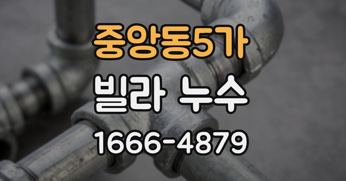 중앙동5가 빌라 누수
