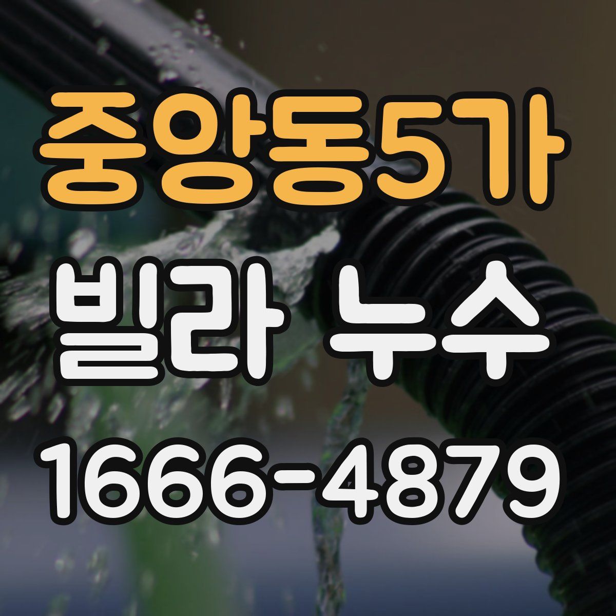 중앙동5가 빌라 누수