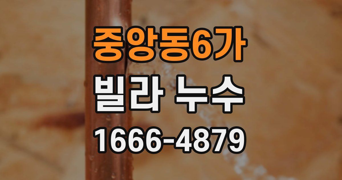중앙동6가 빌라 누수