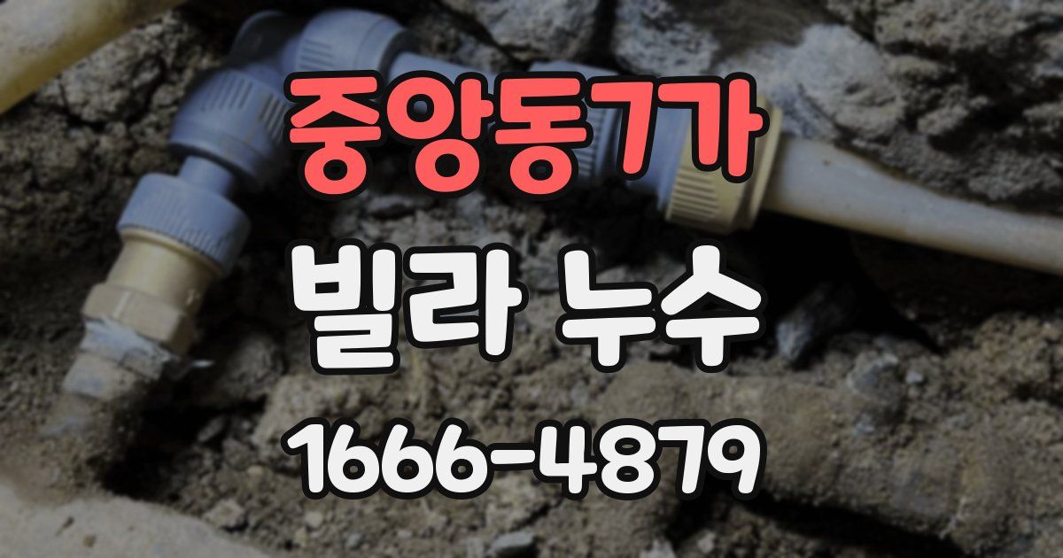 중앙동7가 빌라 누수