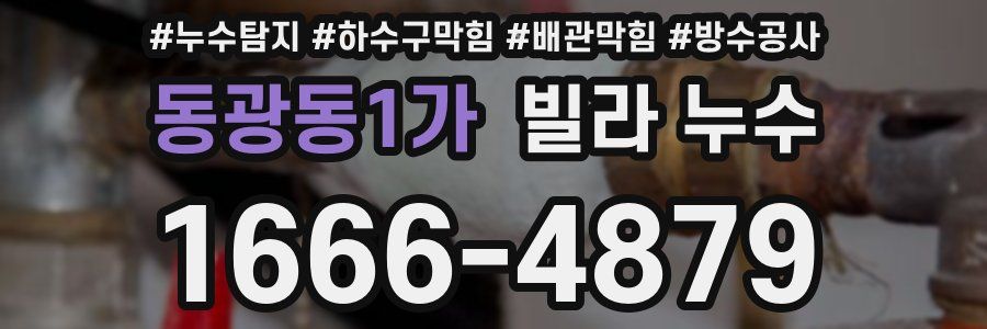 동광동1가 빌라 누수