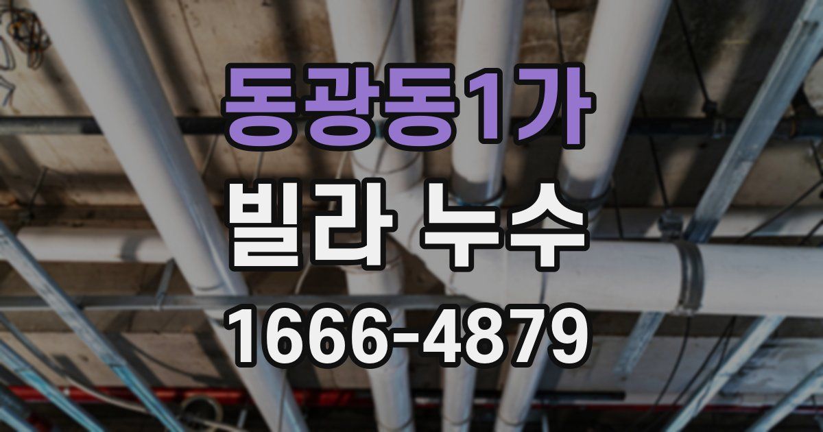 동광동1가 빌라 누수