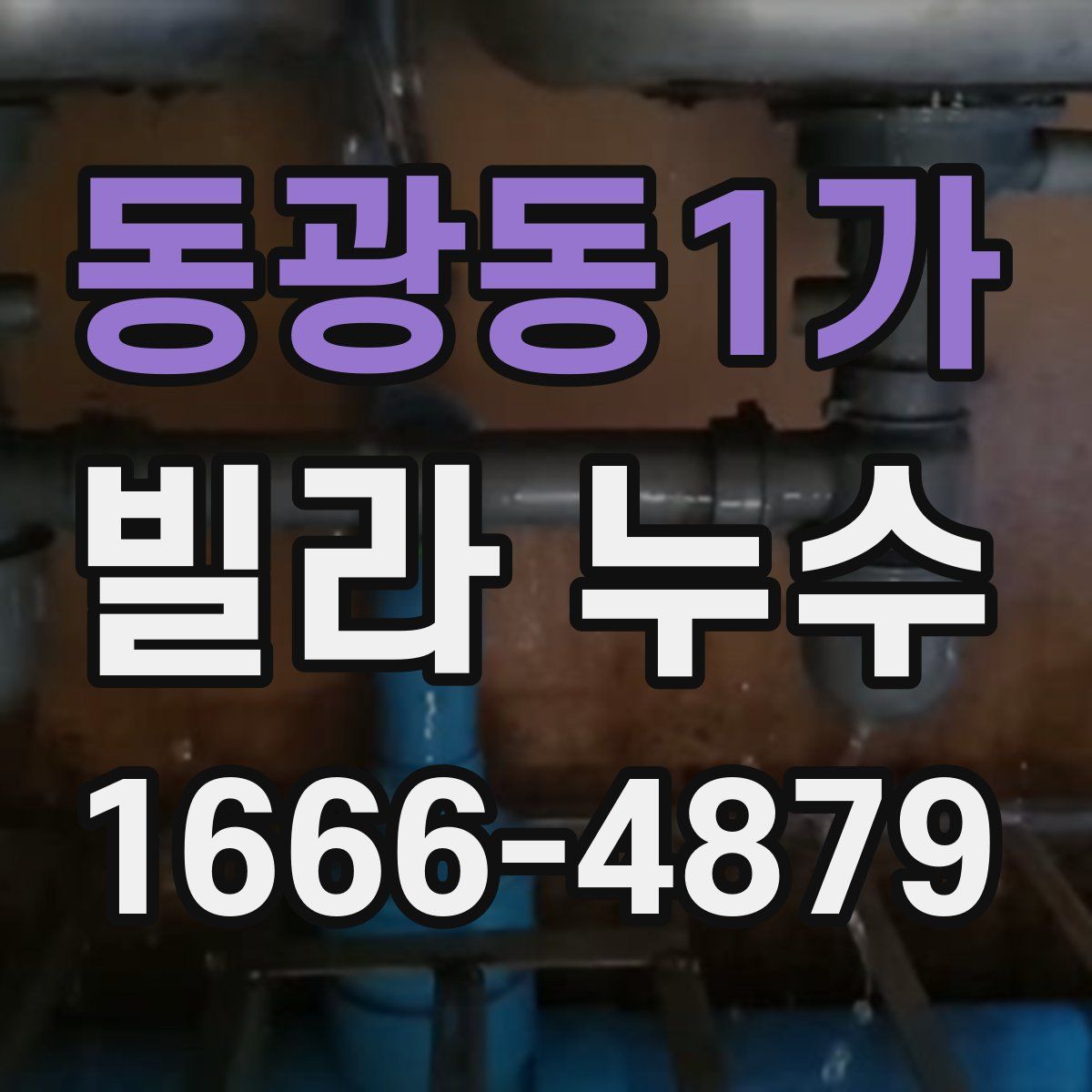 동광동1가 빌라 누수