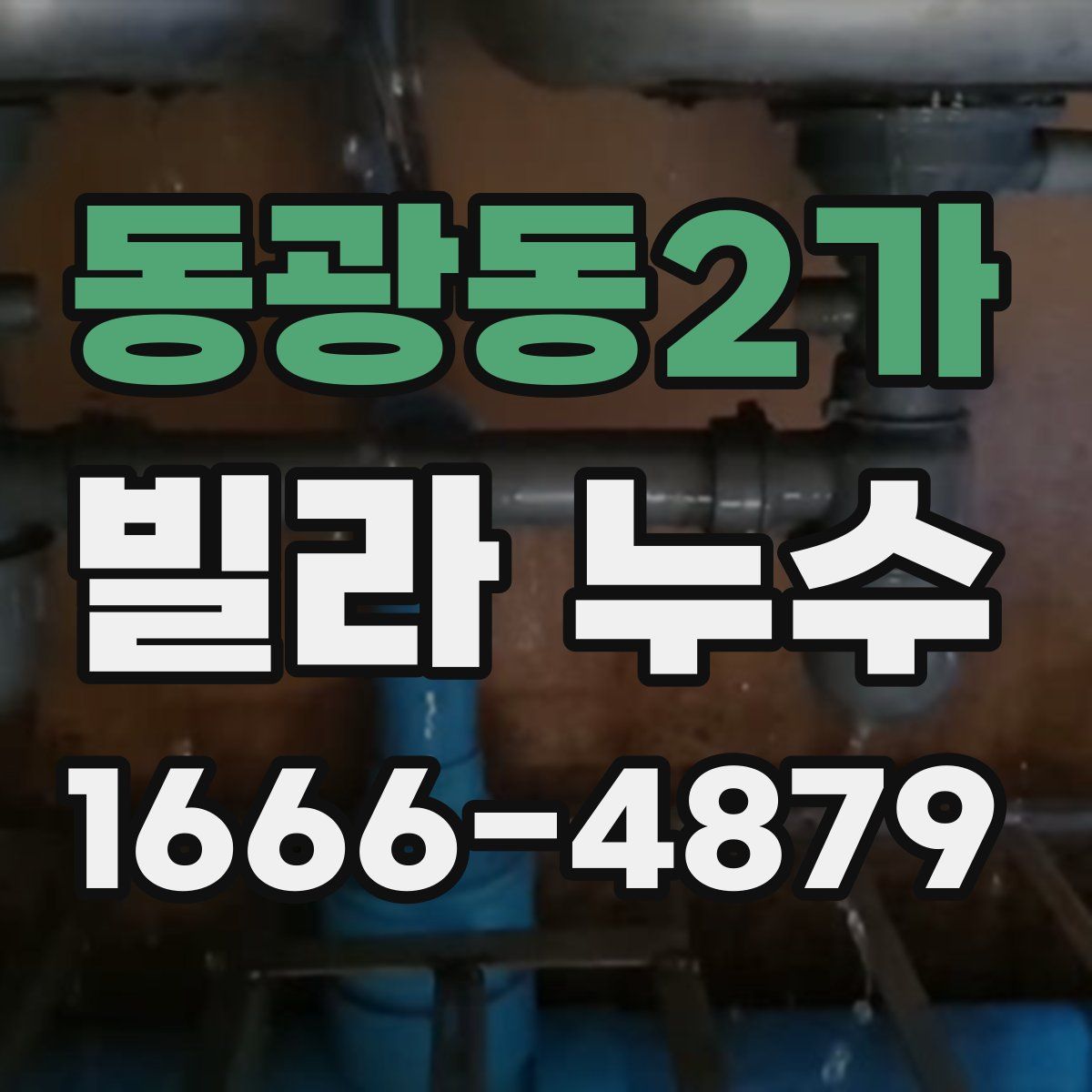 동광동2가 빌라 누수