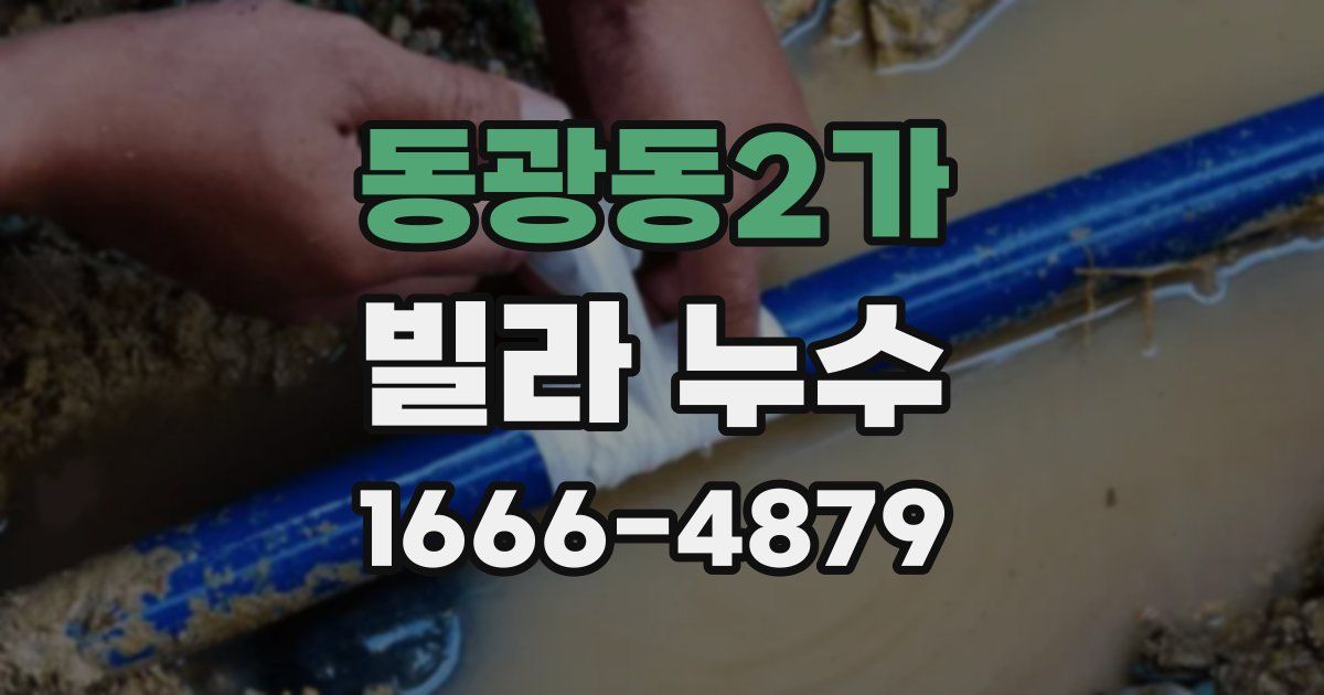 동광동2가 빌라 누수