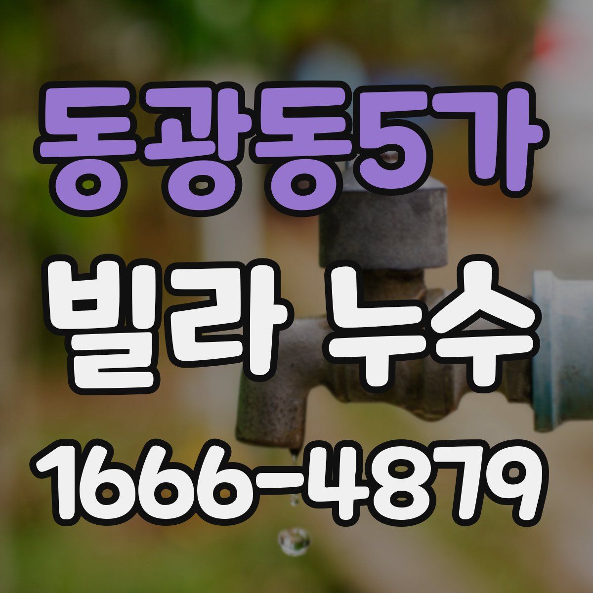 동광동5가 빌라 누수