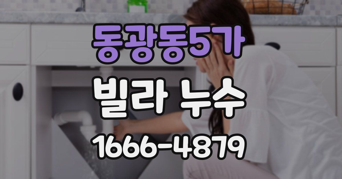 동광동5가 빌라 누수