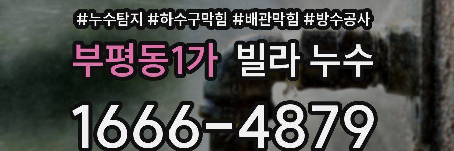 부평동1가 빌라 누수