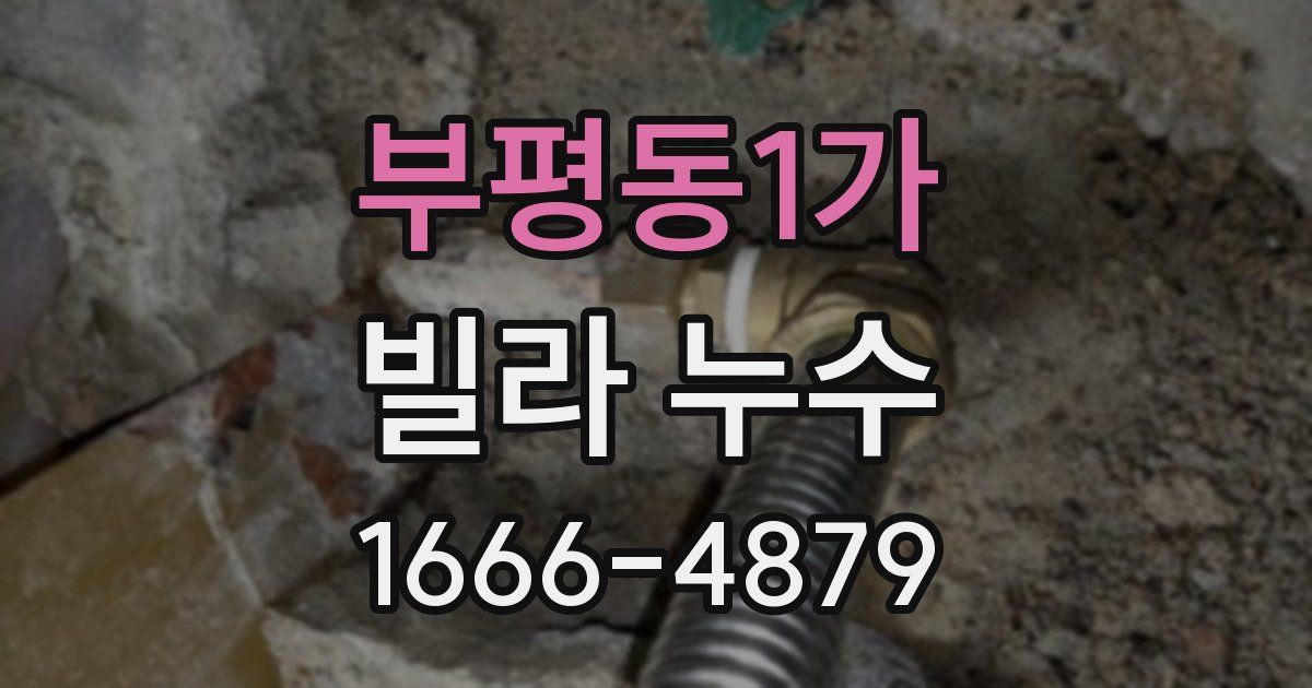 부평동1가 빌라 누수