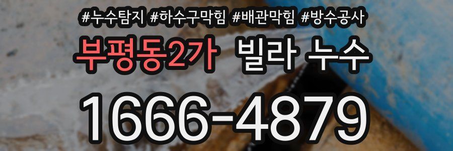 부평동2가 빌라 누수