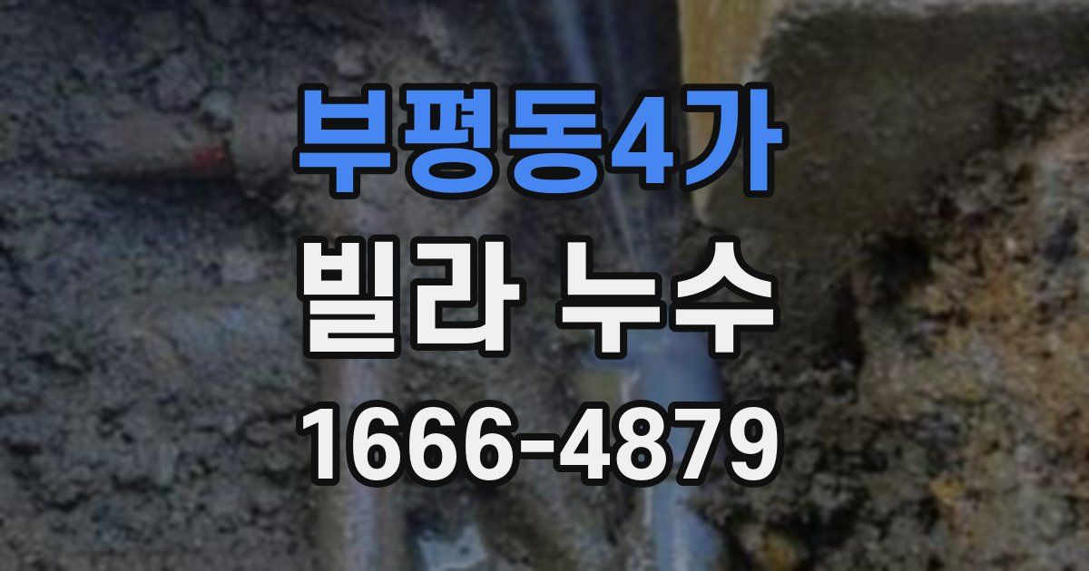 부평동4가 빌라 누수