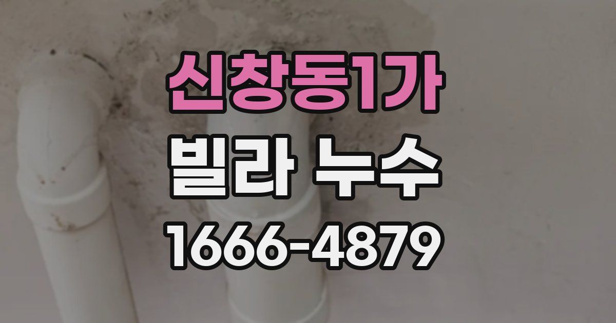 신창동1가 빌라 누수