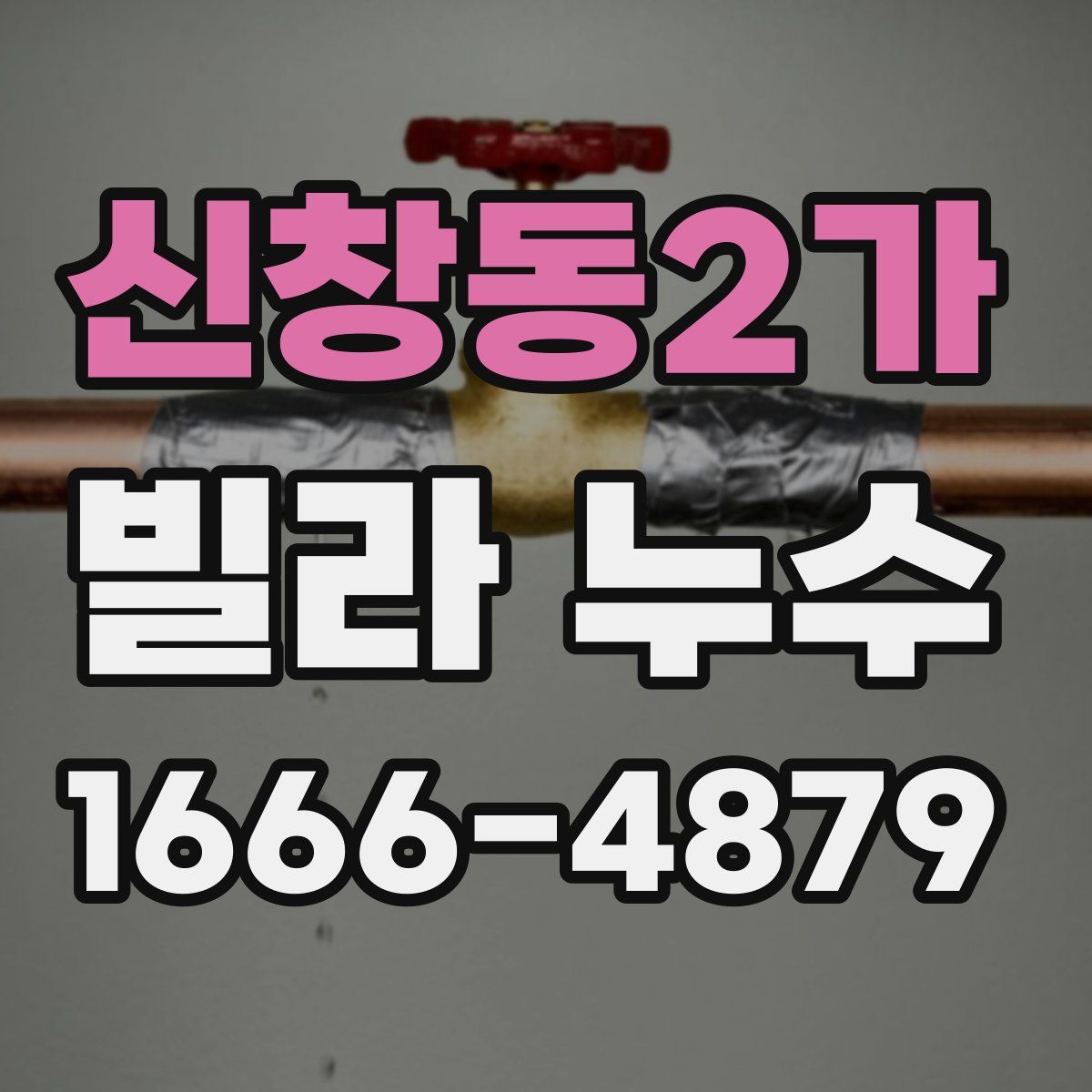 신창동2가 빌라 누수