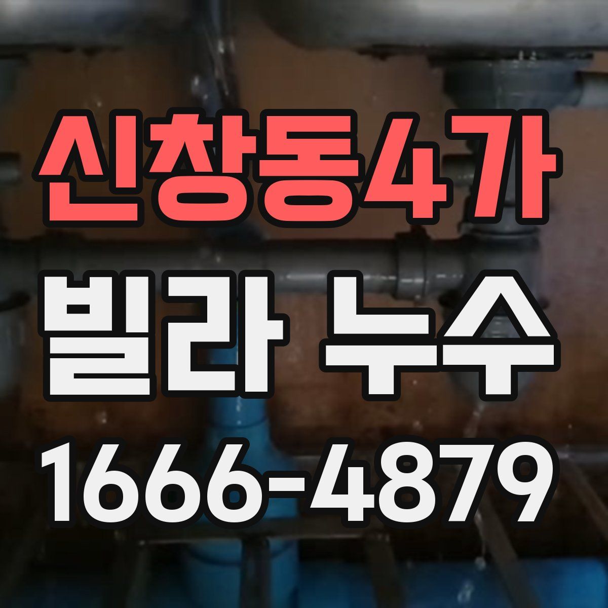 신창동4가 빌라 누수